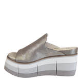 FLOW in SILVER Platform Sandals