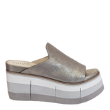FLOW in SILVER Platform Sandals