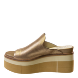 FLOW in GOLD Platform Sandals